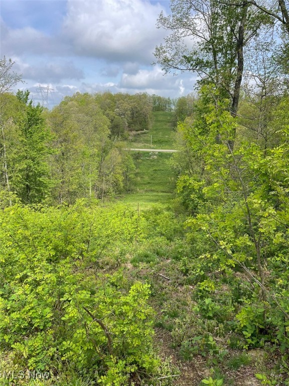5073 Salineville Road, Carrollton, Ohio image 28