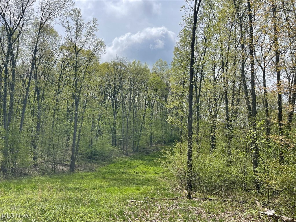 5073 Salineville Road, Carrollton, Ohio image 30