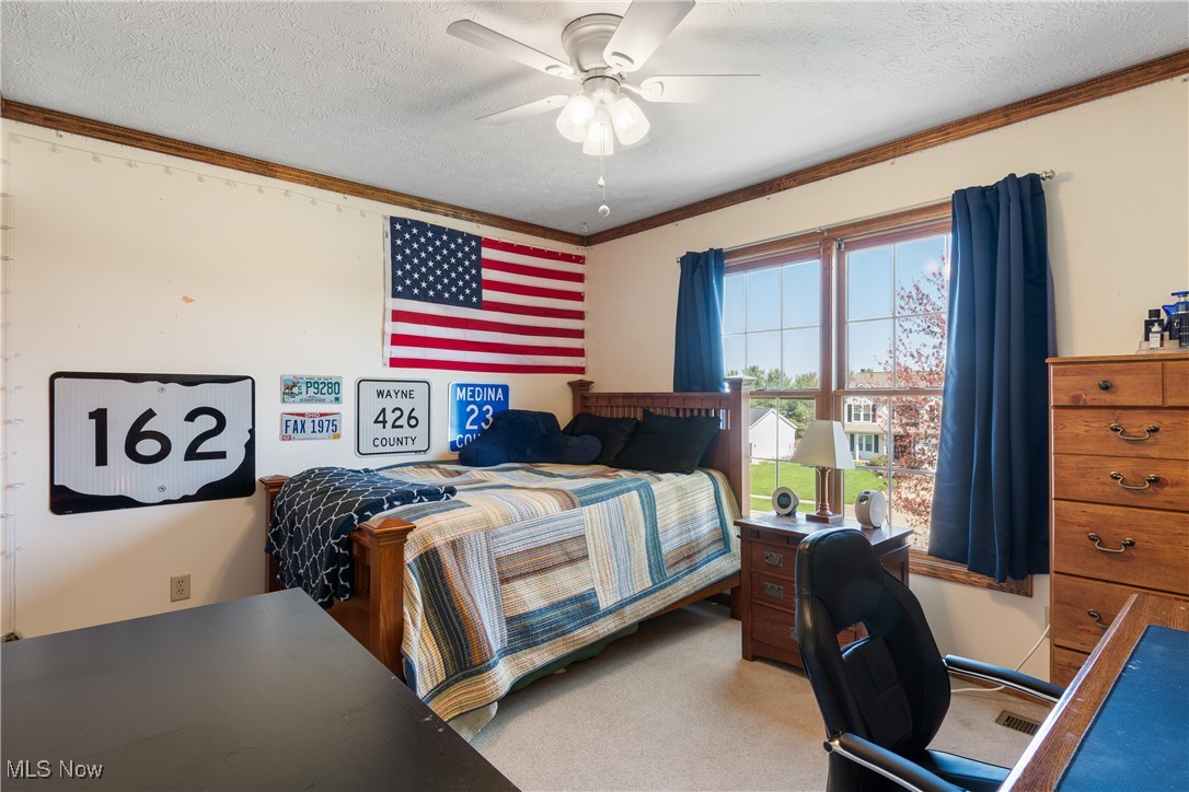 6032 Emerald Lakes Drive, Medina, Ohio image 24