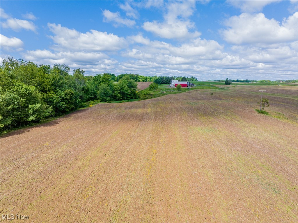 5413 Muffly Avenue, Navarre, Ohio image 3