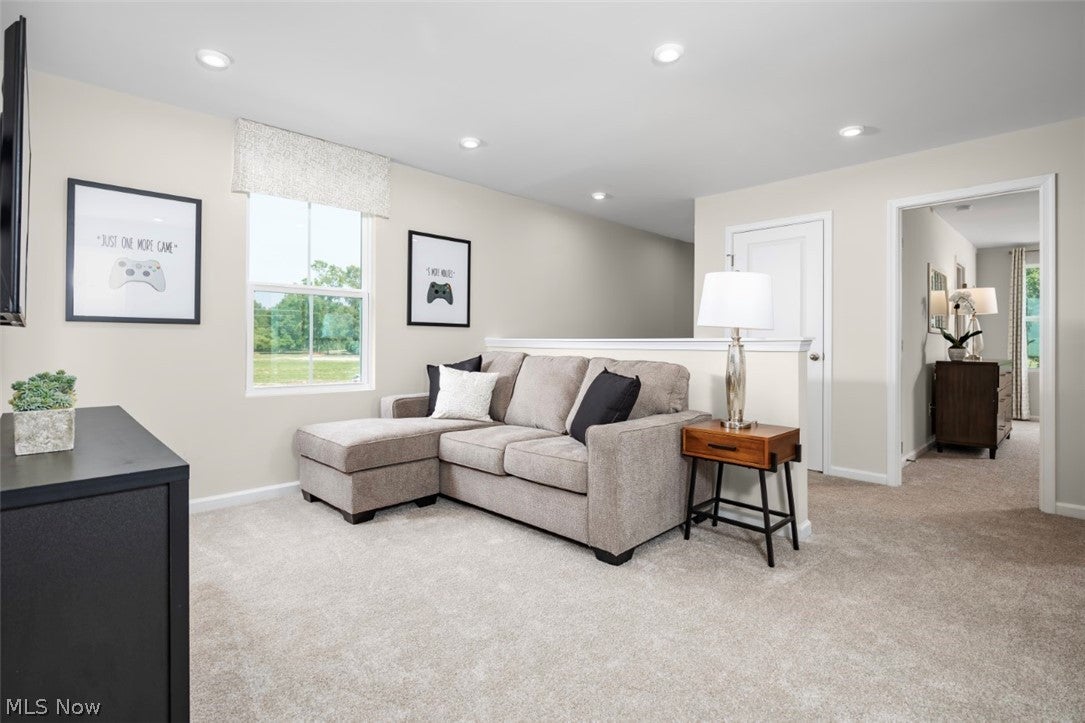 371 Lily Lane