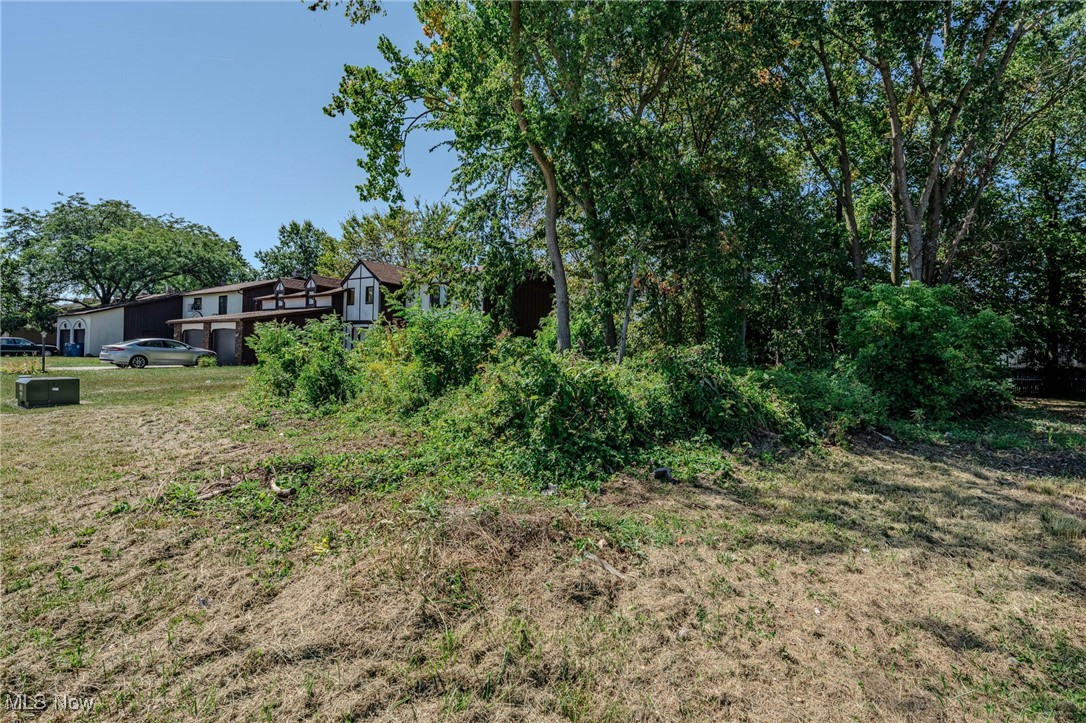 Allison Park Sub #1 - Land