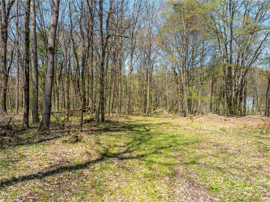 1147 Hope Road, Mineral City, Ohio image 6