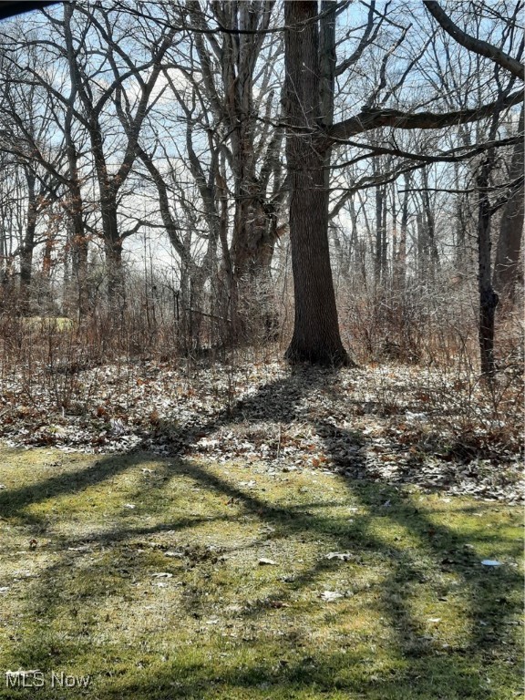 VL N Ridge Road, Lorain, Ohio image 1