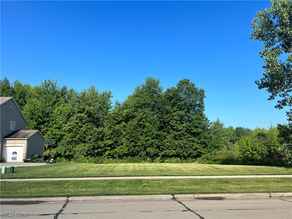 Bayberry Estate - Land