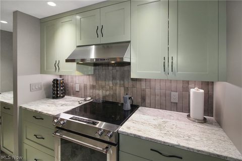 Tiny photo for 711 W Lakeshore Drive #203, Port Clinton, OH 43452 (MLS # 5222055)