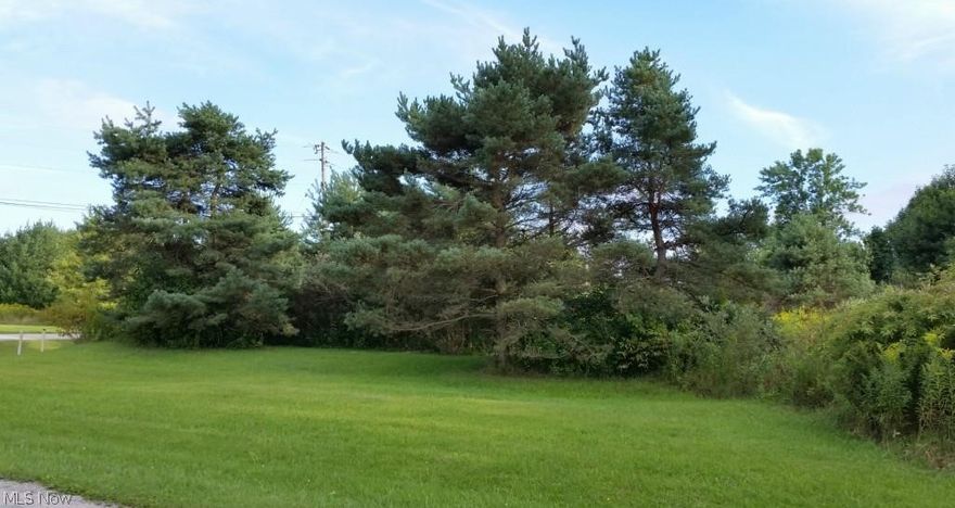 Welcome to Roaming Shores Lake Community offering this great buildable lot with great amenities, Lake access, Lakefront restaurant, clubhouse, beach, heated pool, fishing, boating, skiing, tennis court, picnic area to all members. Minutes away from Marina, as well as Greenway Trail. This private lake community is surrounded by 550-acre man-made Lake with over 20 miles of shoreline. Come check it out!