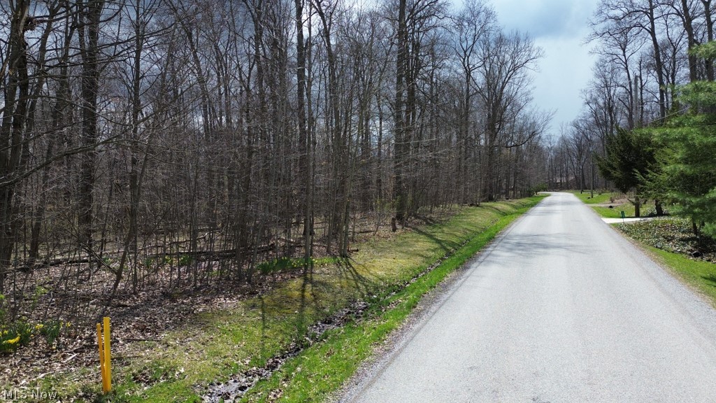 Cinnamon Lake - Land