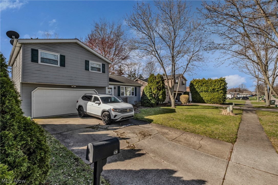 Butternut Lane - Residential