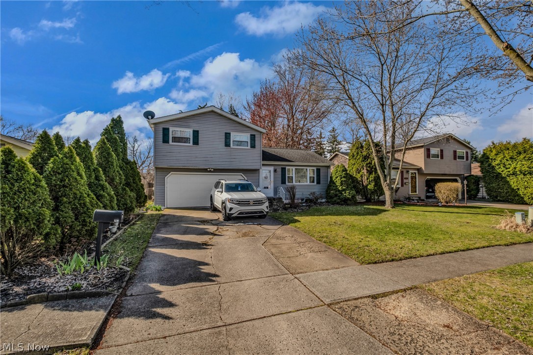 Butternut Lane - Residential