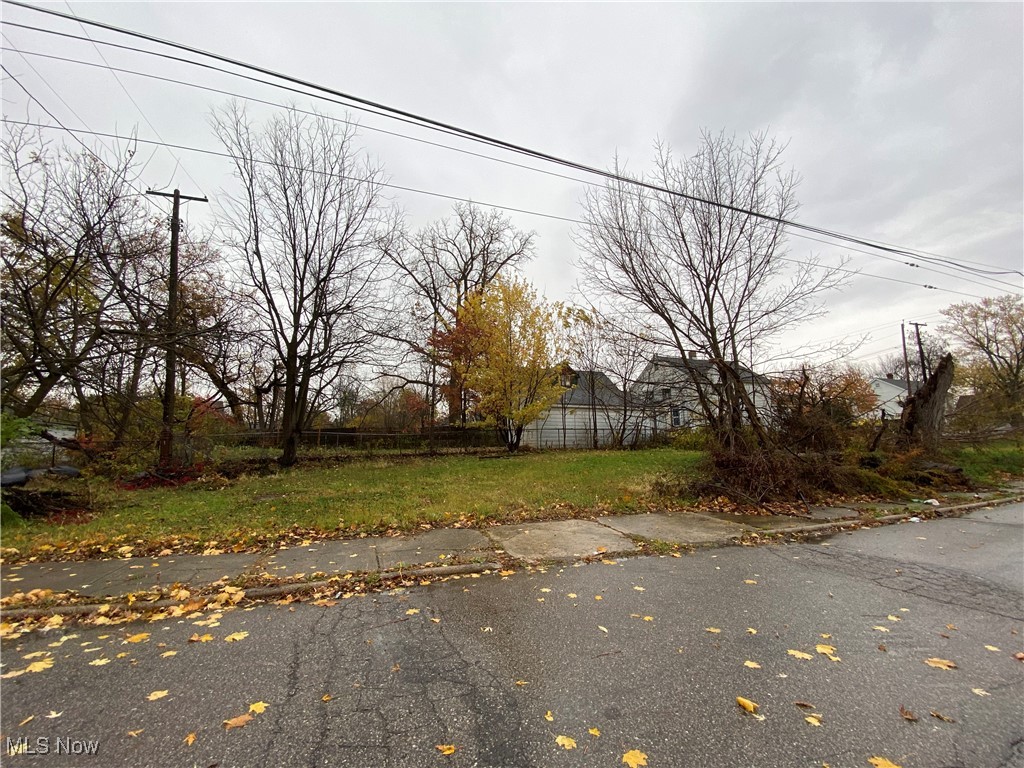 Mount Pleasant Allotment - Land