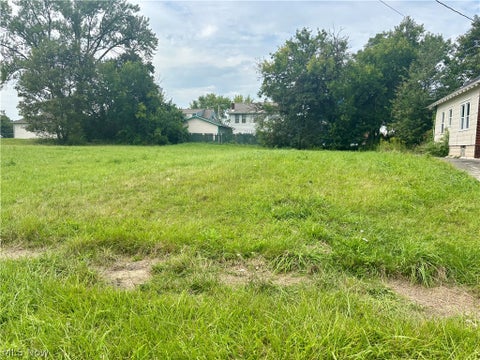 Vacant Land For Sale - 268 E Judson Avenue<br/> Mahoning County, Youngstown, OH 44507