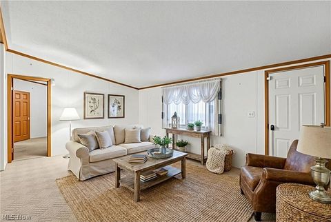 Tiny photo for 12948 S State Line Road, Petersburg, OH 44454 (MLS # 5187774)