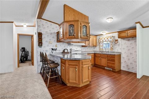 Tiny photo for 12948 S State Line Road, Petersburg, OH 44454 (MLS # 5187774)