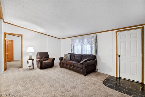 Tiny photo for 12948 S State Line Road, Petersburg, OH 44454 (MLS # 5187774)