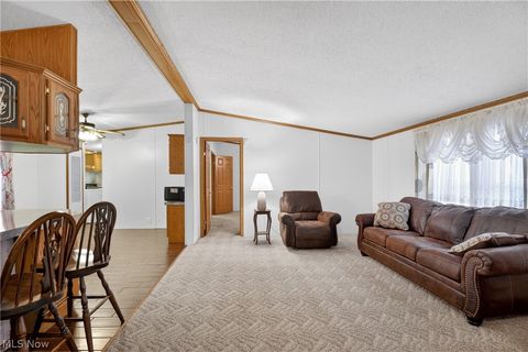 Tiny photo for 12948 S State Line Road, Petersburg, OH 44454 (MLS # 5187774)