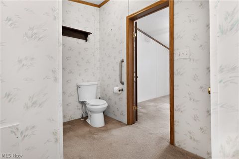 Tiny photo for 12948 S State Line Road, Petersburg, OH 44454 (MLS # 5187774)