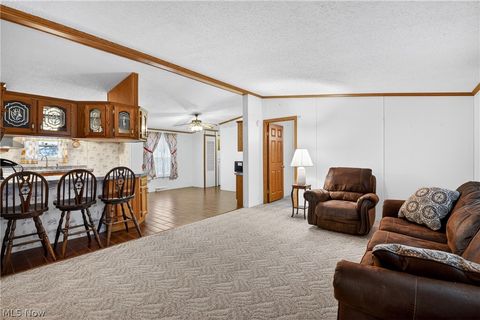 Tiny photo for 12948 S State Line Road, Petersburg, OH 44454 (MLS # 5187774)