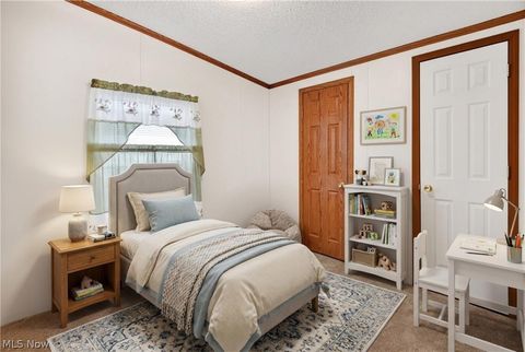 Tiny photo for 12948 S State Line Road, Petersburg, OH 44454 (MLS # 5187774)