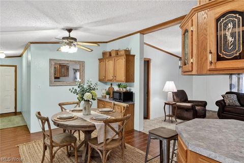 Tiny photo for 12948 S State Line Road, Petersburg, OH 44454 (MLS # 5187774)