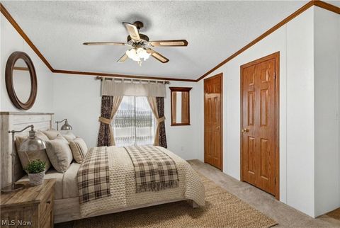 Tiny photo for 12948 S State Line Road, Petersburg, OH 44454 (MLS # 5187774)