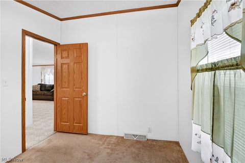 Tiny photo for 12948 S State Line Road, Petersburg, OH 44454 (MLS # 5187774)