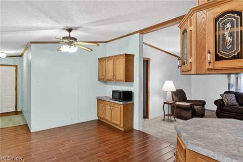 Tiny photo for 12948 S State Line Road, Petersburg, OH 44454 (MLS # 5187774)