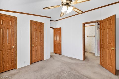 Tiny photo for 12948 S State Line Road, Petersburg, OH 44454 (MLS # 5187774)