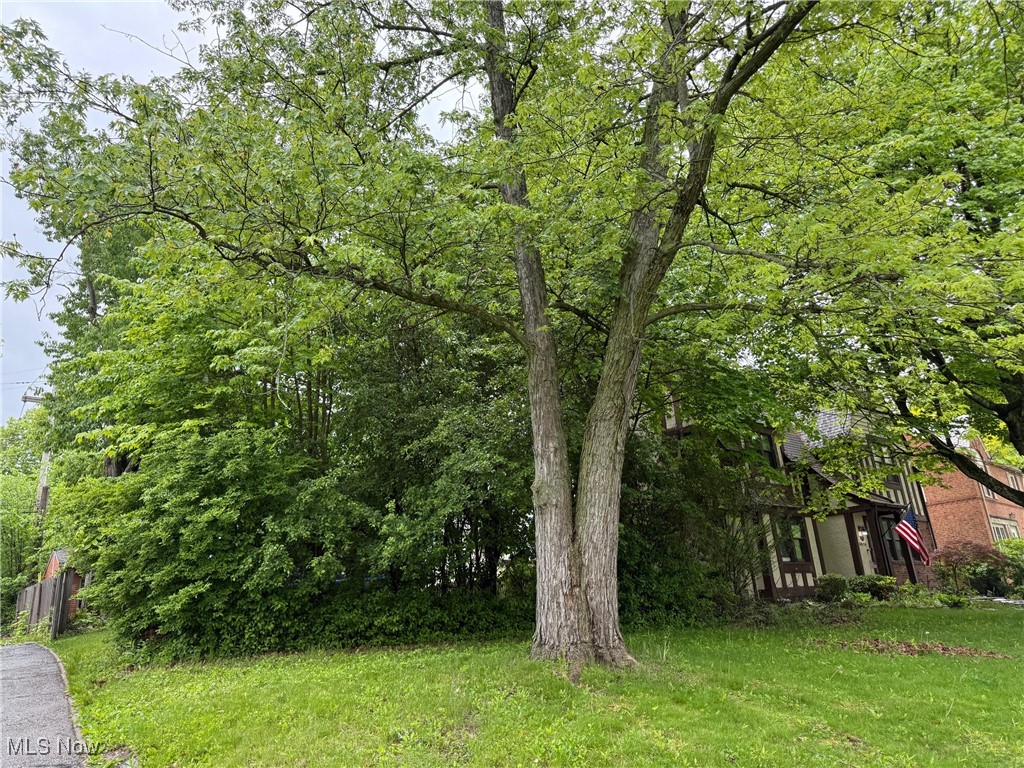 Rapid Transit Land Companys - Land