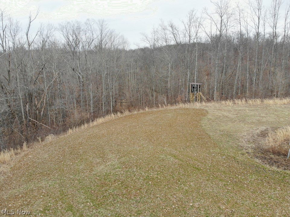 62 acres with a great mix of cleared and wooded land. Frontage on Leek Ln and Cupyk Rd. Multiple building sites. Electric and drilled water well on property. 30 X 50 pole building. Possible free natural gas. 10 acres of potential pasture. Several food plots. Box blinds. Future timber potential. ATV trails. Great hunting. oil/gas rights do not transfer.