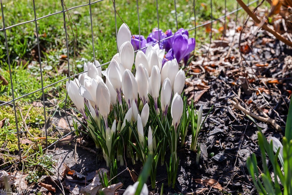 Will-O-Way Beach 1 - Residential