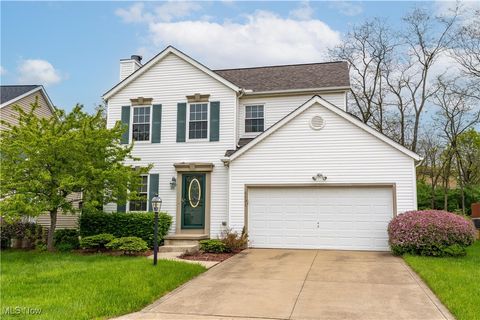 4431 Lockmoor Lane Brunswick OH 44212