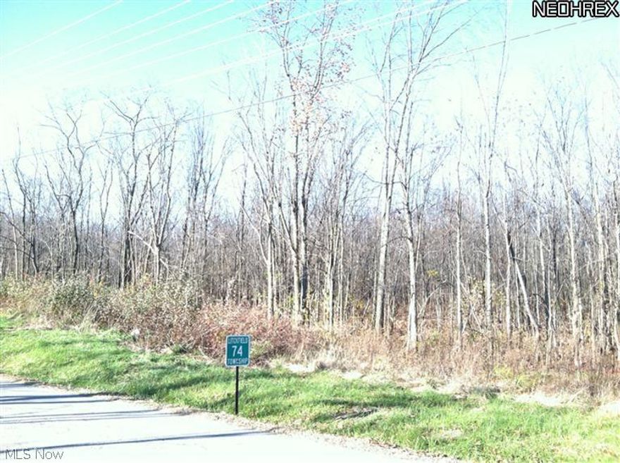 Beautiful, lightly wooded 3.42 Acres in Litchfield! This private, buildable lot has city water, and is ready for your dream home! Call now for more information.