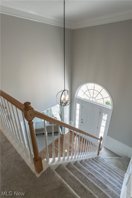 Ethans Green Ph 4b - Residential