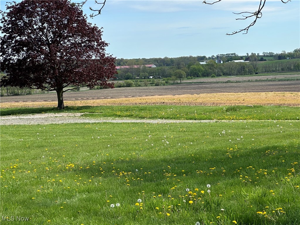 4311 Tannerville Road, Orrville, Ohio image 3