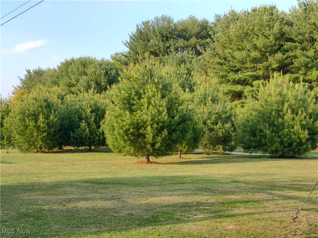 64575 Falcon Lane, Cambridge, Ohio image 28