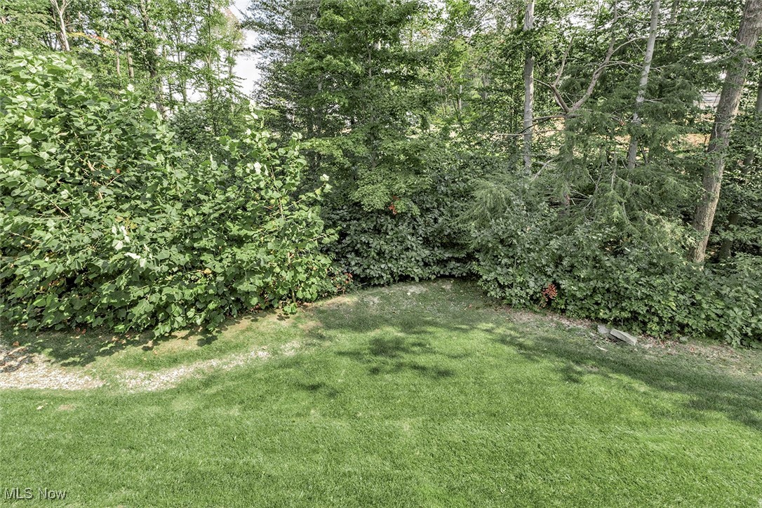 Canyon Lake Colony Sub - Residential