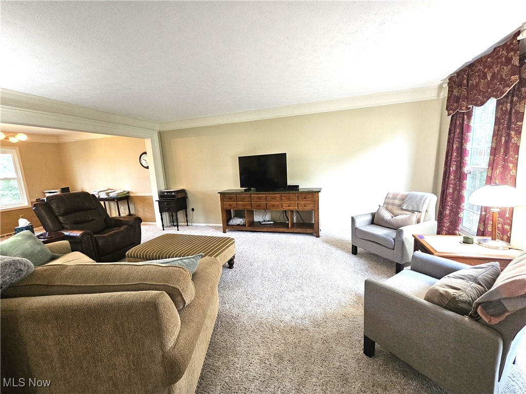 16585 S White Oaks Drive, Strongsville, Ohio image 12