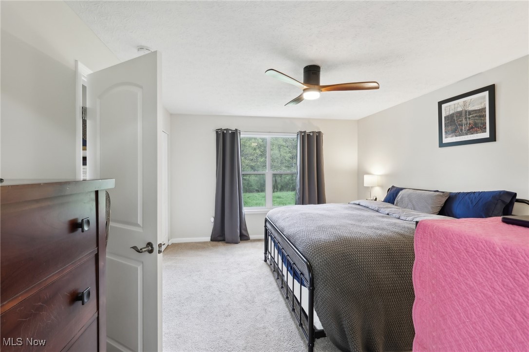5033 Misty Glen Lane, Ravenna, Ohio image 19