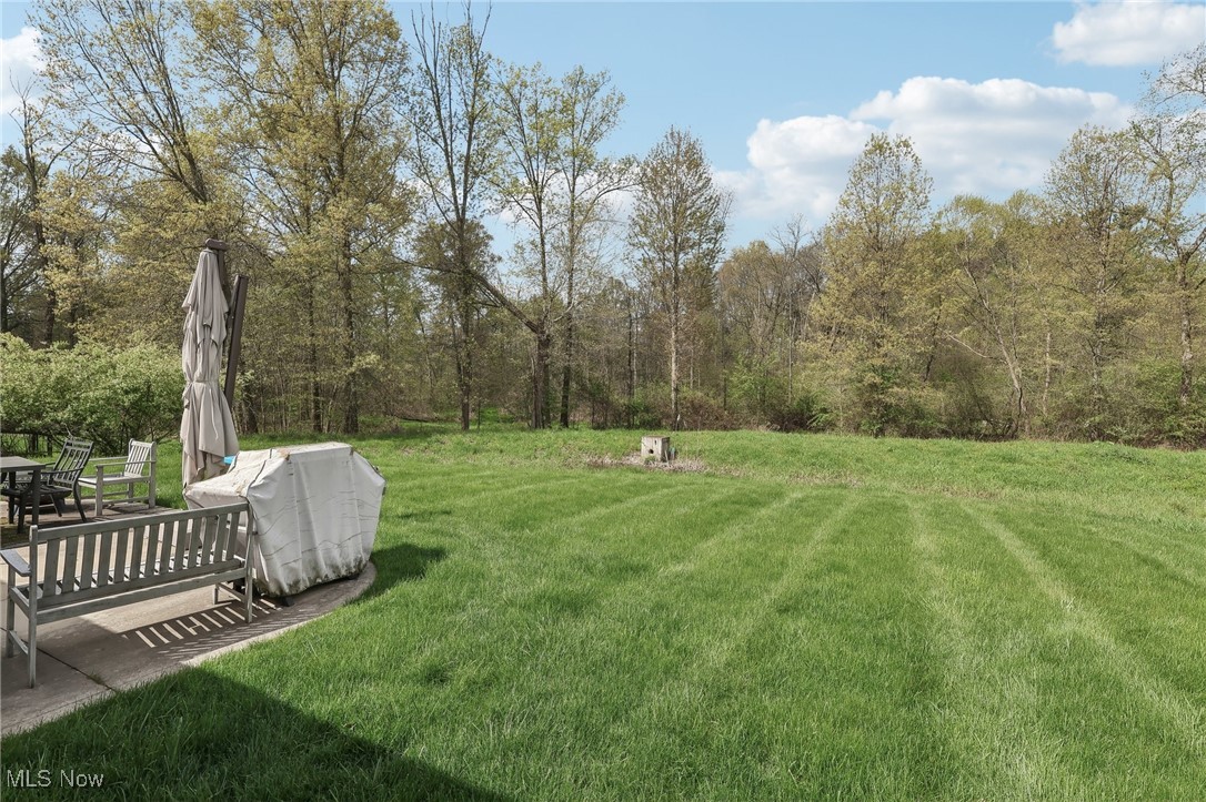5033 Misty Glen Lane, Ravenna, Ohio image 40