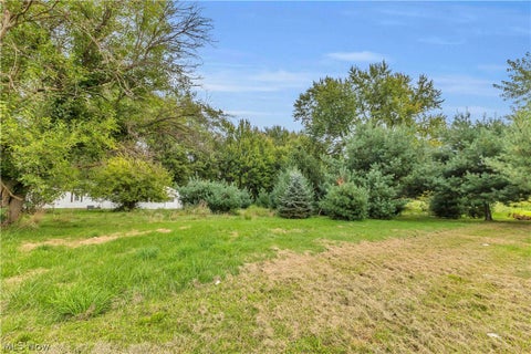 Vacant Land For Sale - Chestnut Ridge Road<br/> Elyria, OH 44035