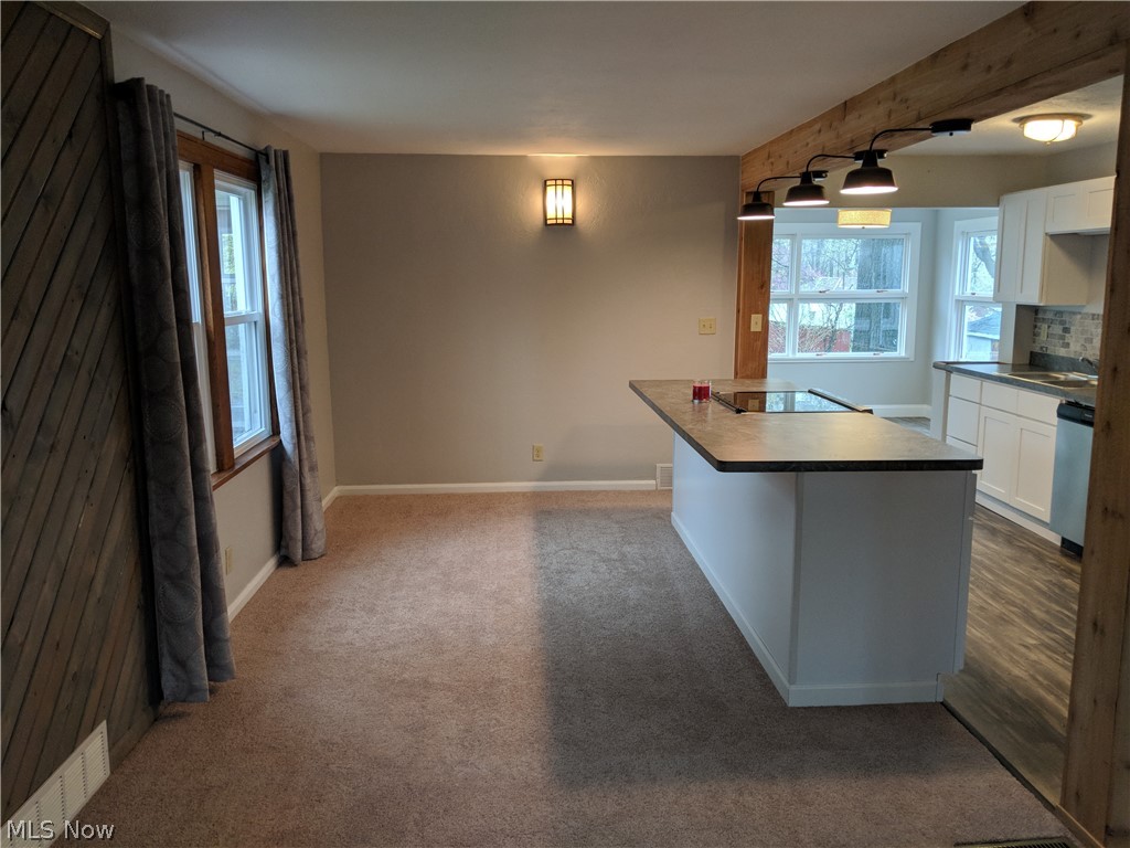 Cunningham Allotment - Residential