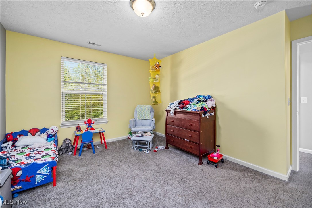 2516 Daegan Drive, Avon, Ohio image 21
