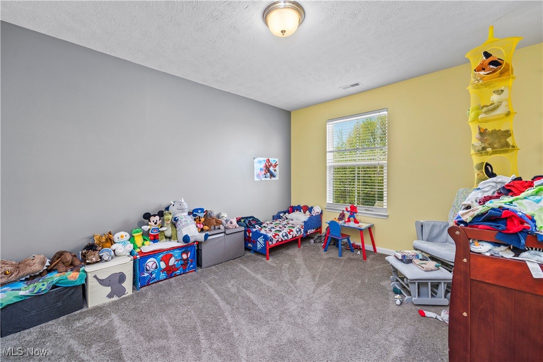 2516 Daegan Drive, Avon, Ohio image 20