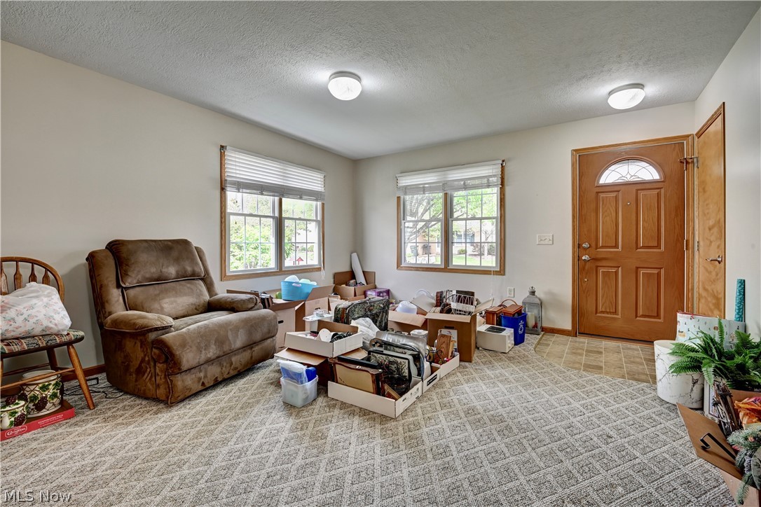 Swiss Valley Condo - Residential
