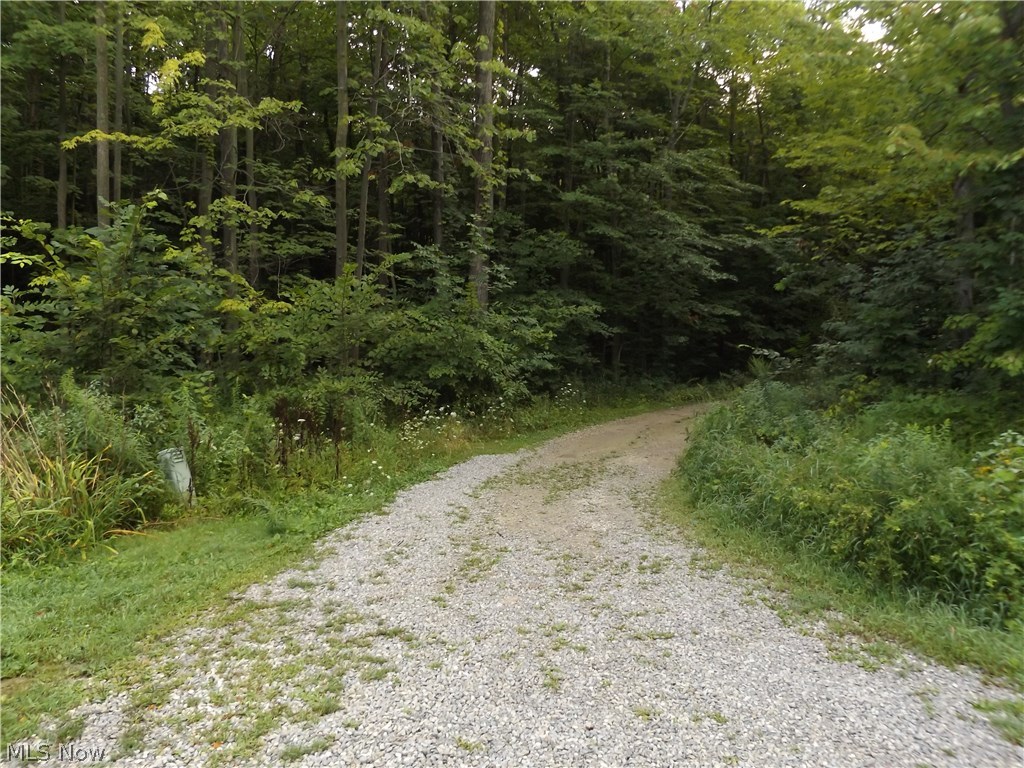 Liverpool Sec 11 - Residential