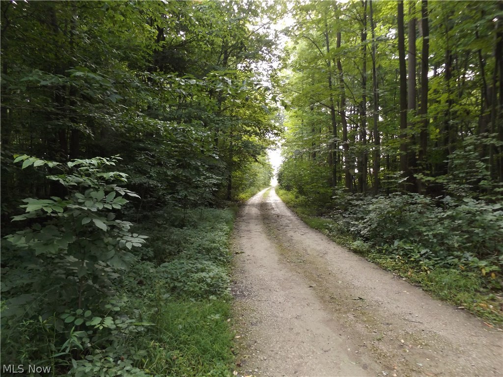 Liverpool Sec 11 - Residential