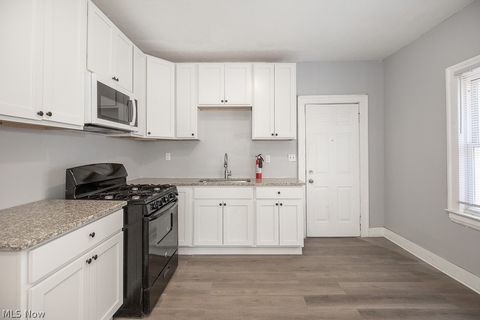 Tiny photo for 3341 E 119th Street, Cleveland, OH 44120 (MLS # 5187490)