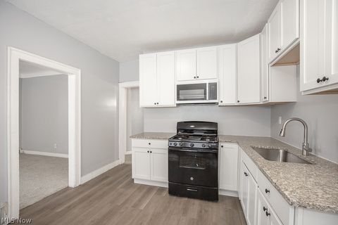 Tiny photo for 3341 E 119th Street, Cleveland, OH 44120 (MLS # 5187490)