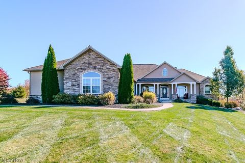 12195 Arborwood Way Chardon OH 44024